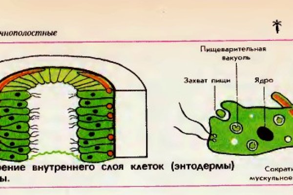 Вход на кракен