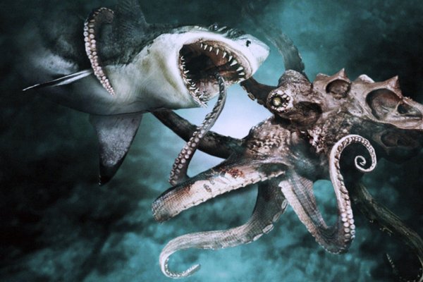 Кракен рабочее зеркало