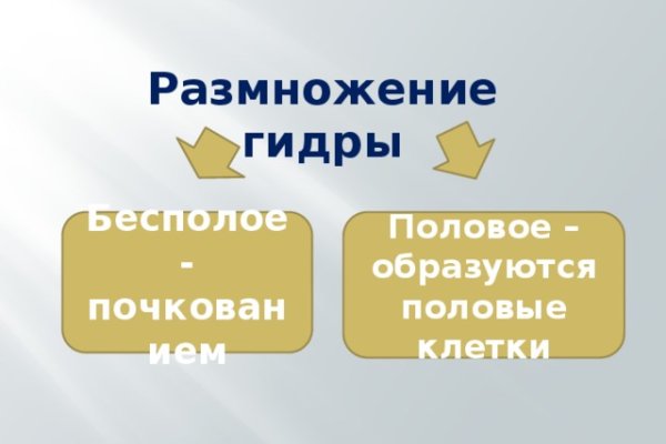 Как восстановить доступ к кракену